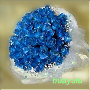 柔情似水~56朵精選藍玫瑰花束